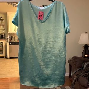 BNWT adrienne dress